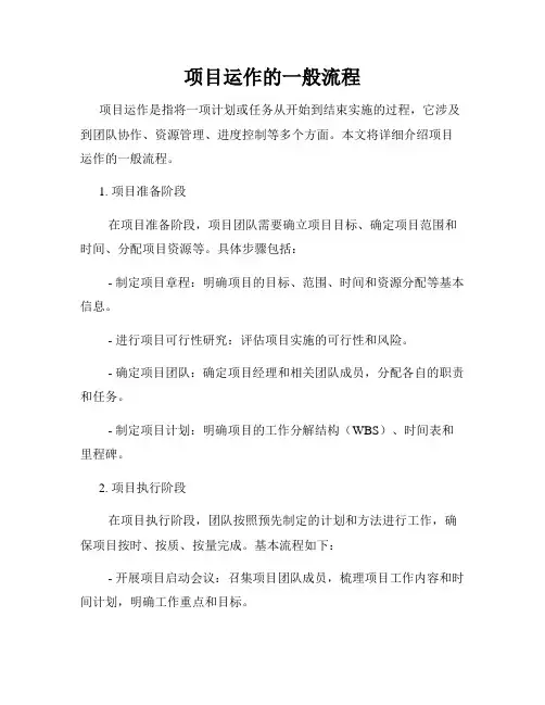 项目运作的一般流程
