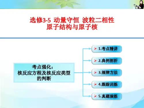 核反应方程及核反应类型的判断