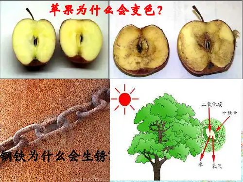 氧化还原反应PPT课件分析