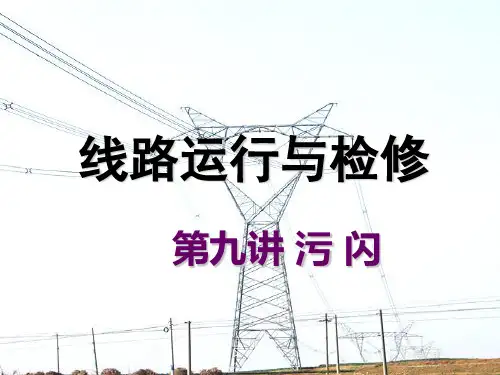 第9讲 污闪