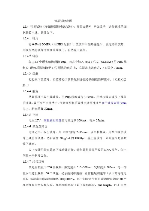 彗星试验步骤
