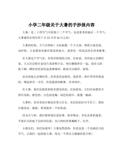 小学二年级关于大暑的手抄报内容