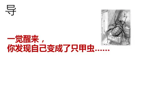 14.2《变形记》课件(共31张PPT) 统编版高中语文必修下册.ppt