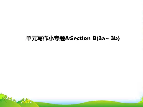 新人教版九年级英语 Unit 9 单元写作小专题