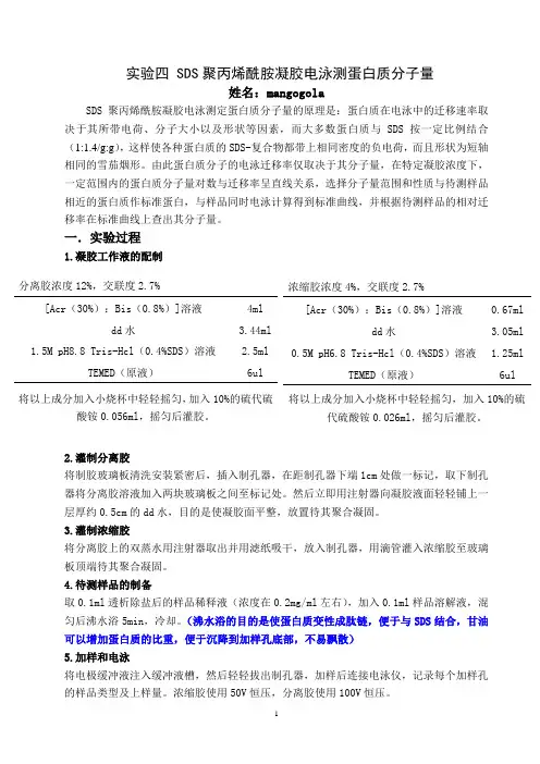 (完整版)实验四SDS聚丙烯酰胺凝胶电泳测蛋白质分子量
