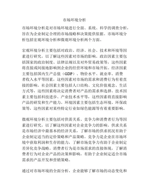 市场环境分析