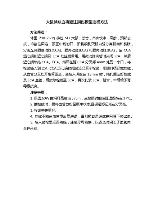 大鼠脑缺血再灌注损伤模型造模方法