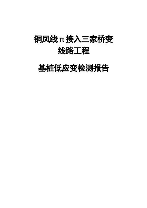 桩基检测报告【范本模板】
