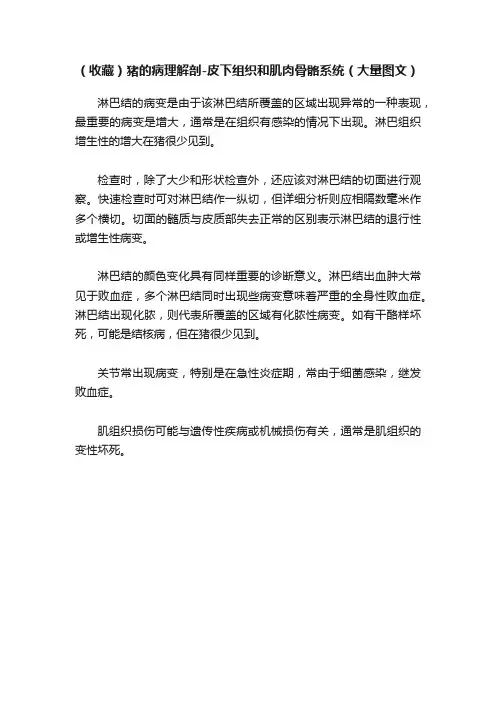 （收藏）猪的病理解剖-皮下组织和肌肉骨骼系统（大量图文）