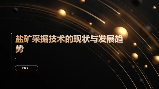 盐矿采掘技术的现状与发展趋势