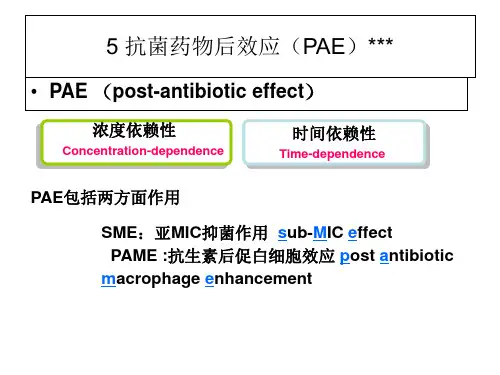 临床药理学抗菌药物后效应