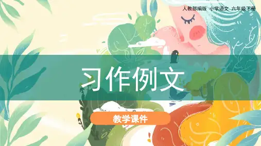 统编版六年级语文下册《习作例文》 优质课件(共57张PPT)