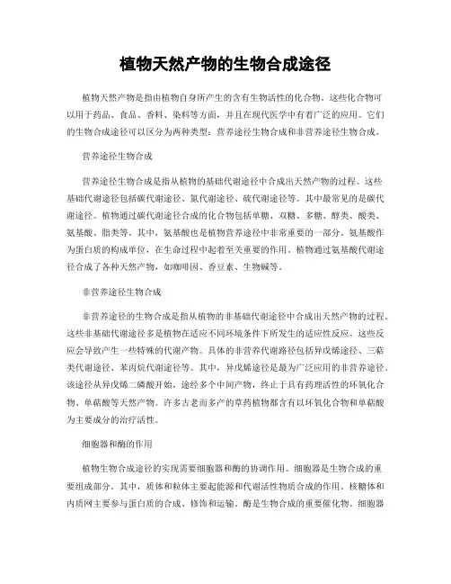 植物天然产物的生物合成途径