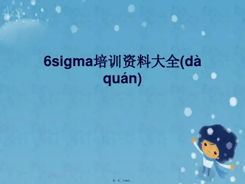 6sigma培训资料大全