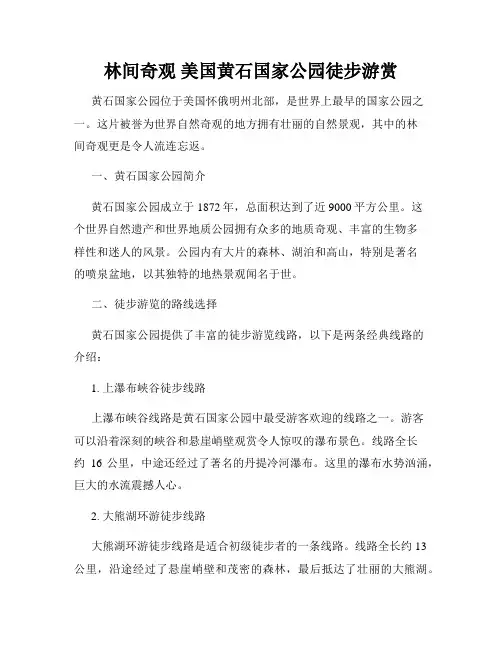 林间奇观 美国黄石国家公园徒步游赏