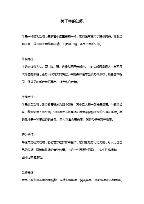 关于牛的知识