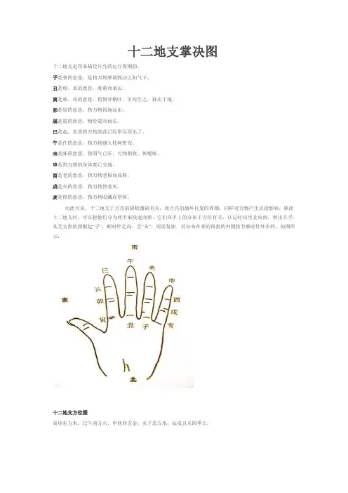 十二地支掌决图