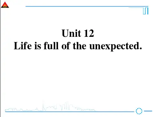九年级英语Unit12(全单元)课件
