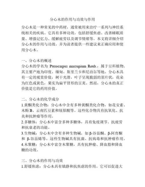 分心木的作用与功效与作用