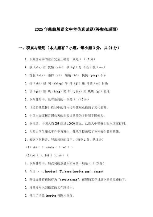 2025年统编版中考语文试题及解答参考