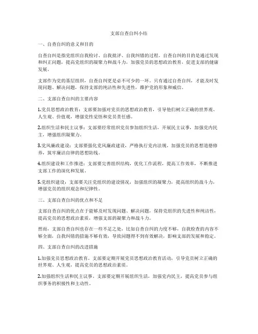支部自查自纠小结