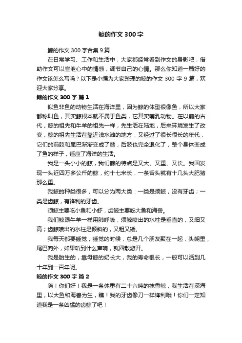 鲸的作文300字合集9篇