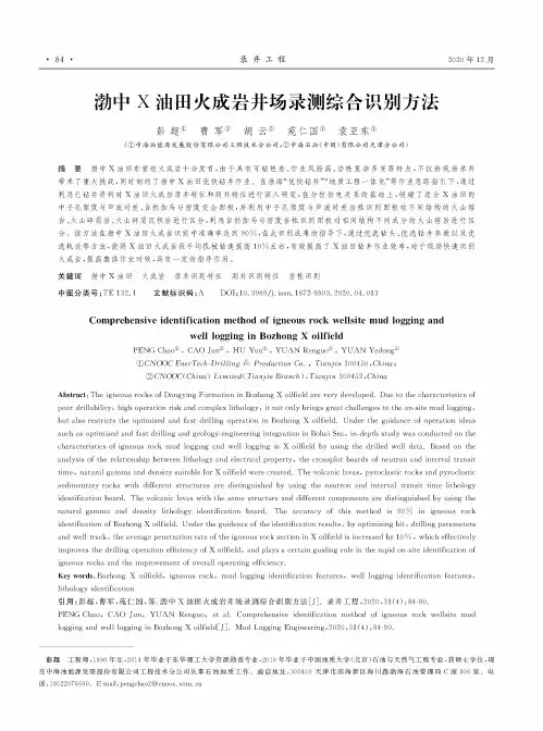 渤中X油田火成岩井场录测综合识别方法