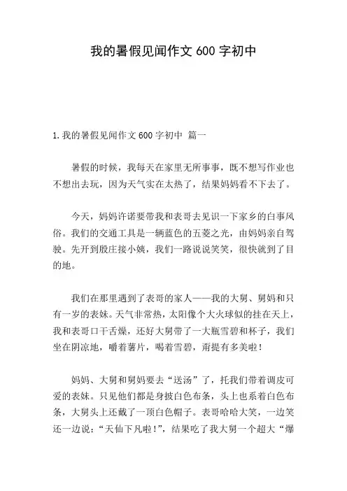 我的暑假见闻作文600字初中