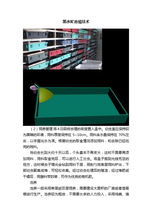 黑水虻养殖技术