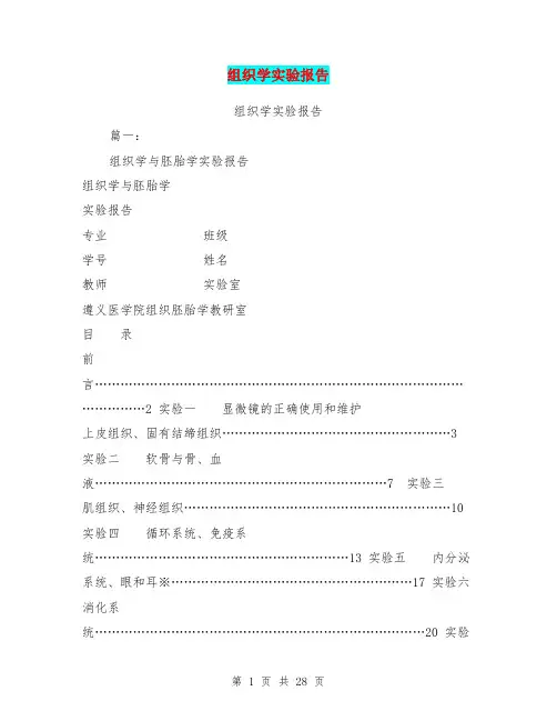 组织学实验报告