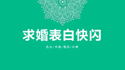 求婚表白快闪PPT模板