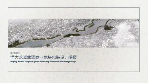 恒大龙溪翡翠方案-商业包装方案
