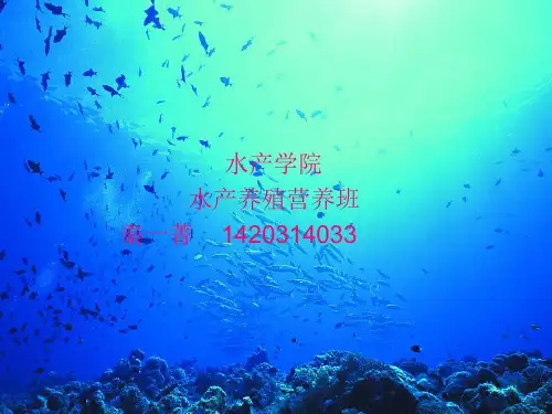 水产养殖及发展前景