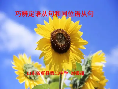 定语从句与名词性从句区别