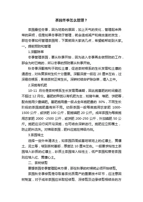 茶园冬季怎么管理？