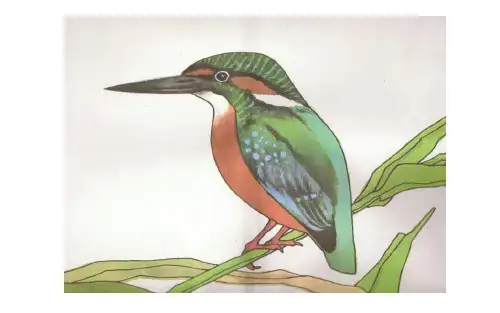 人教版三年级语文下册第二单元《翠鸟》
