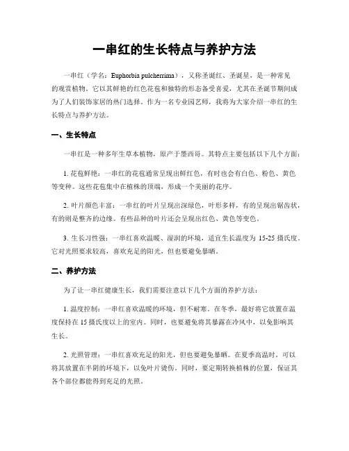 一串红的生长特点与养护方法