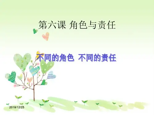 陕旅版初三下册政治6.2一目不同的角色不同的责任PPT课件(5)