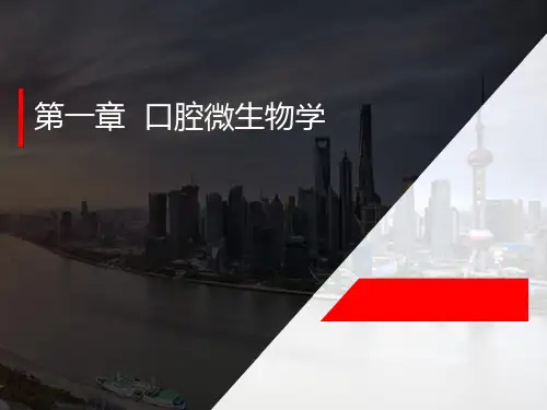 口腔微生物学教学课件