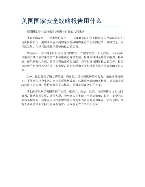 美国国家安全战略报告用什么