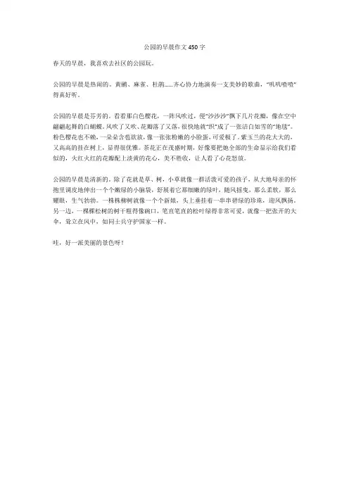 公园的早晨作文450字高分作文