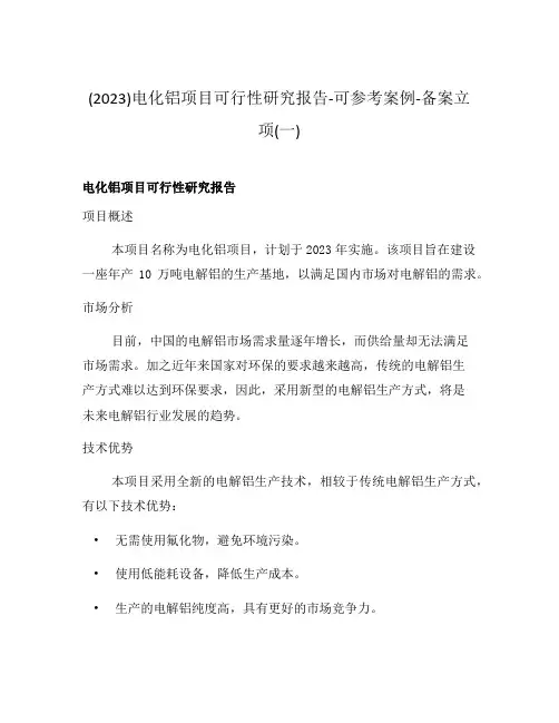 (2023)电化铝项目可行性研究报告-可参考案例-备案立项(一)