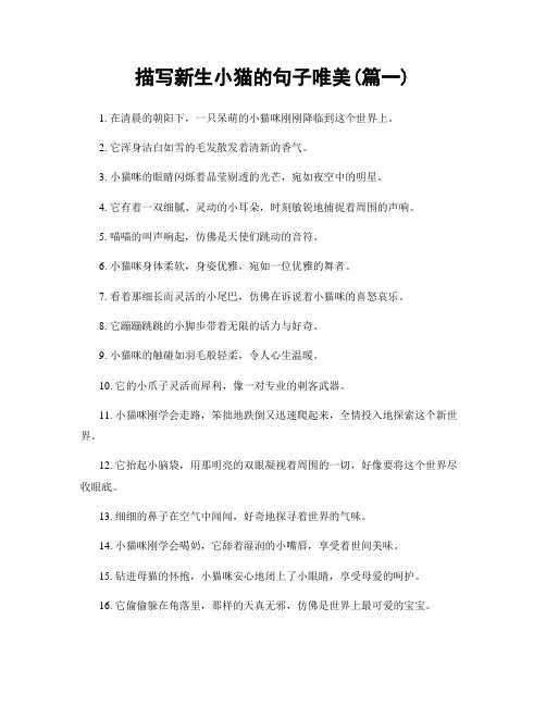 描写新生小猫的句子唯美(精选两篇)