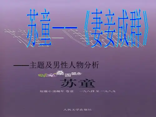 _苏童《妻妾成群》主题及男性人物分析