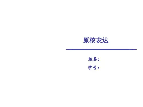 原核表达流程