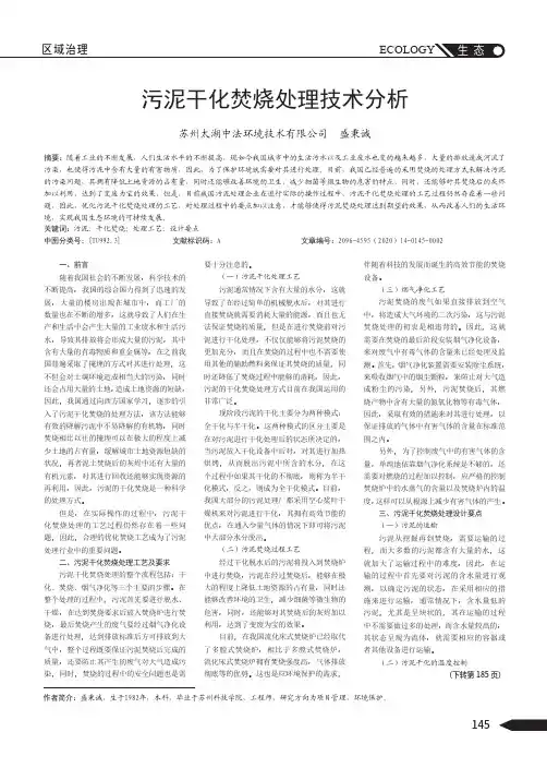 污泥干化焚烧处理技术分析
