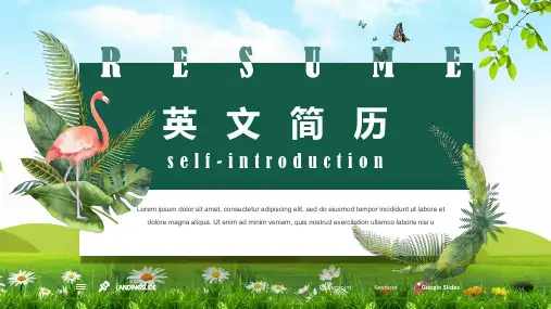 绿色手绘简约求职竞聘面试个人英文简历教育PPT讲课演示