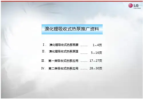 溴化锂吸收式热泵推广