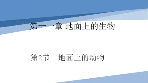 地面上的动物-七年级生物下册课件(苏科版)