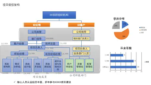 项目组织框架图(投标、技术方案等)